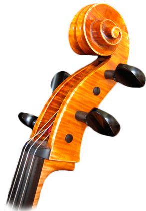 Cello Scroll